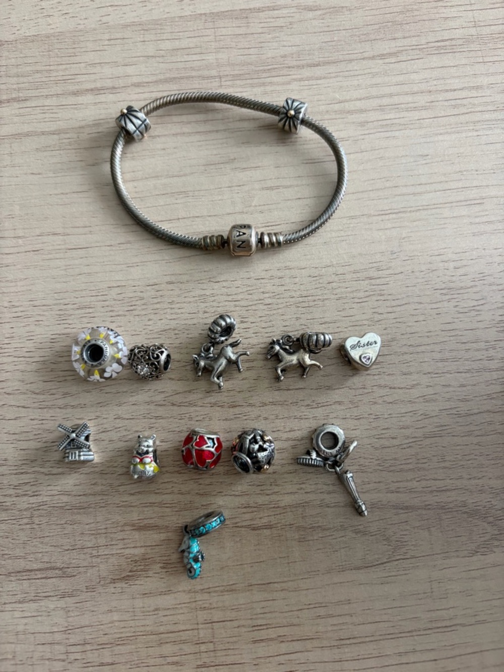 Pandora charm bracelet